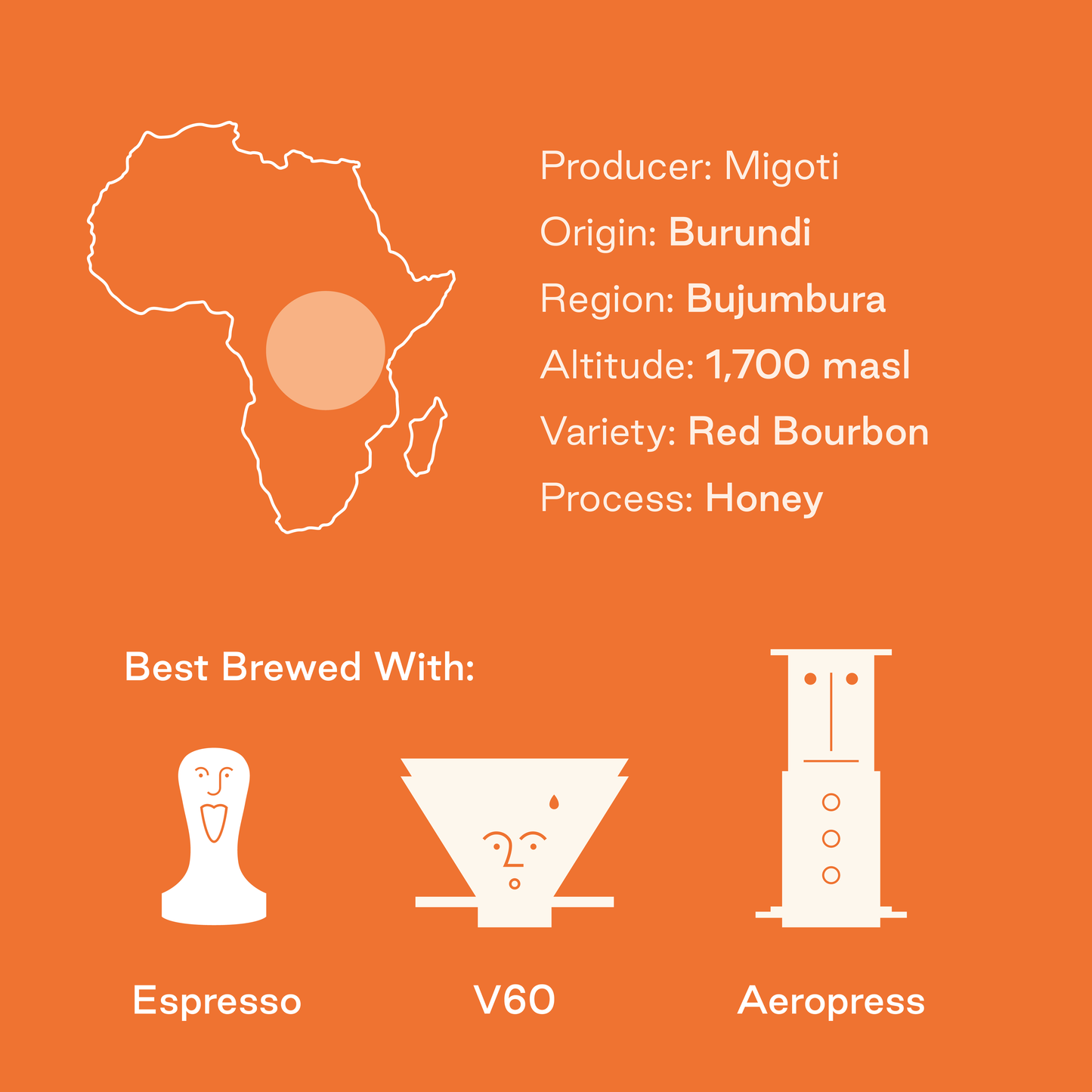 The Fields, Burundi: Natural Single Origin Coffee Beans