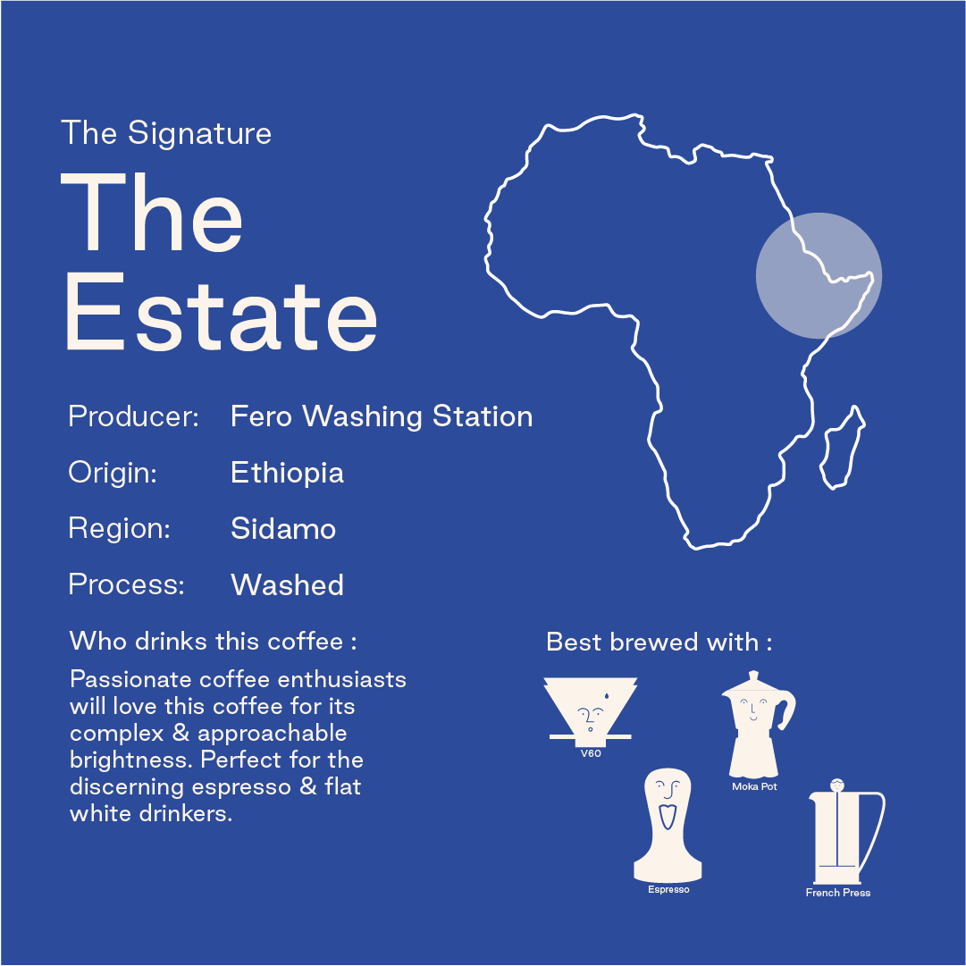 The Estate, Ethiopia: Single Origin Coffee Beans