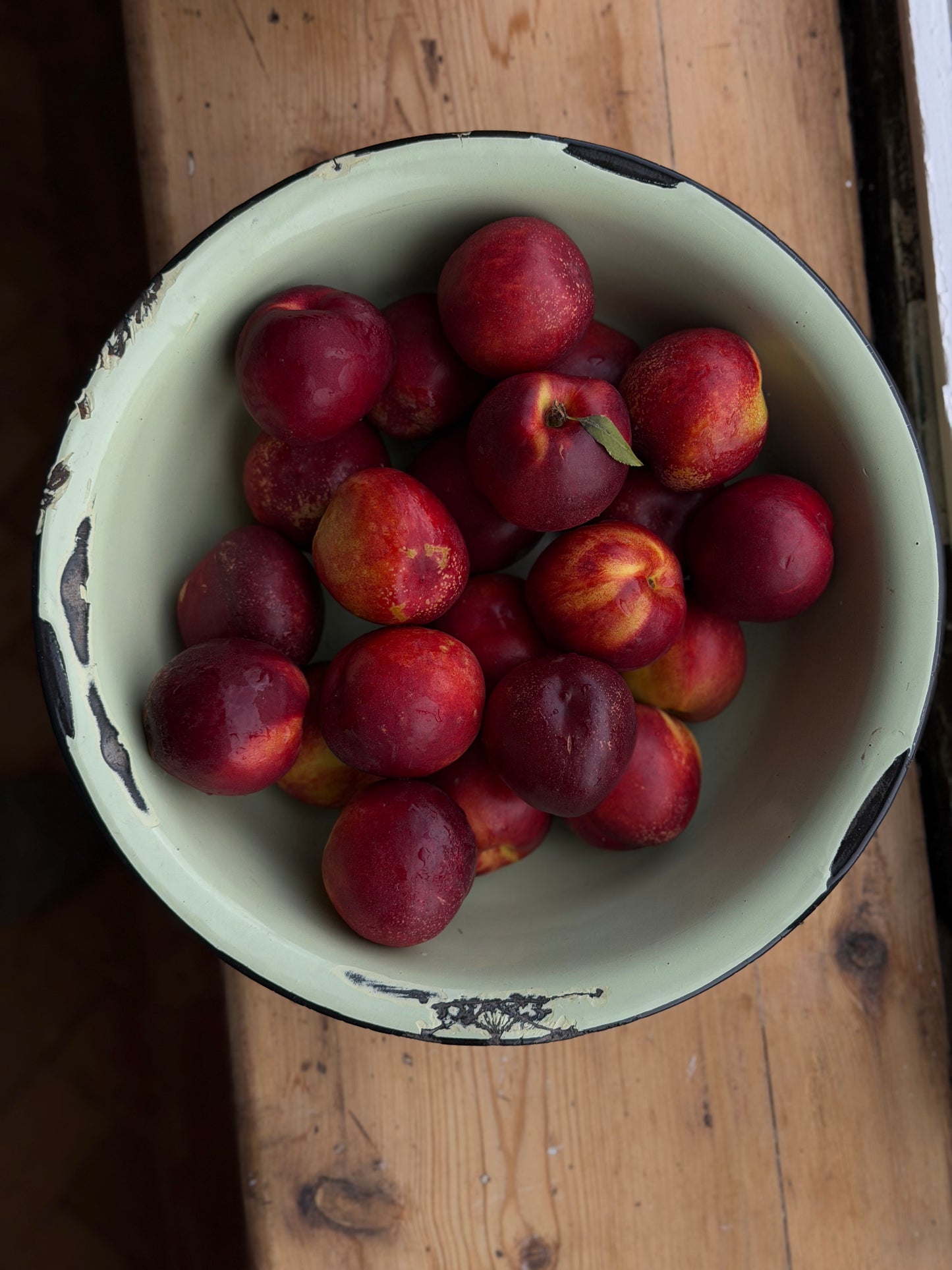 Organic Yellow Nectarines