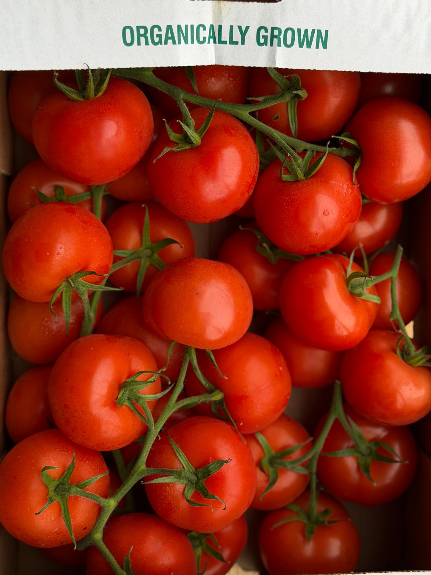 Organic Vine Tomatoes - UK