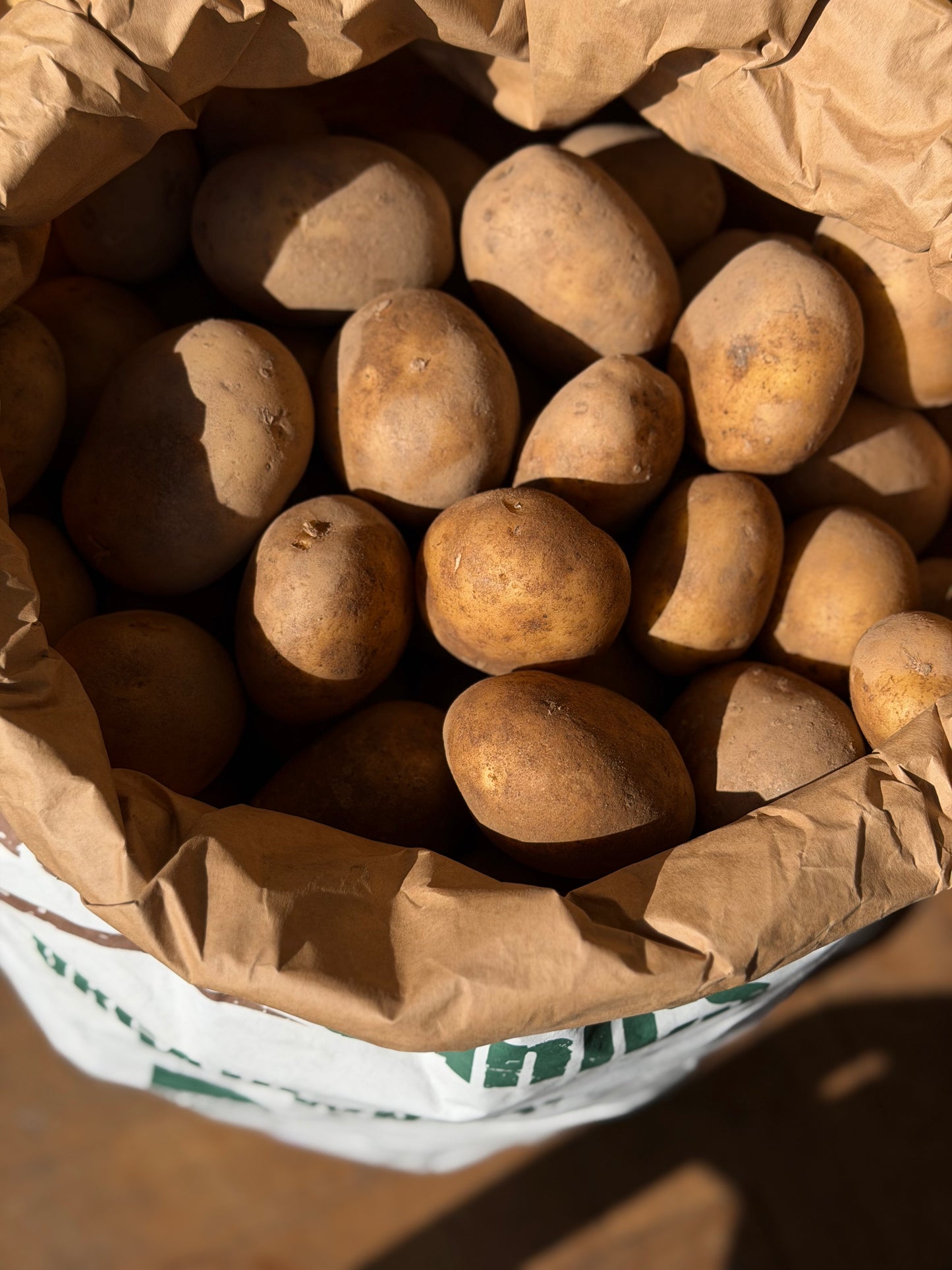 Organic Charlotte New Season Potatoes - UK
