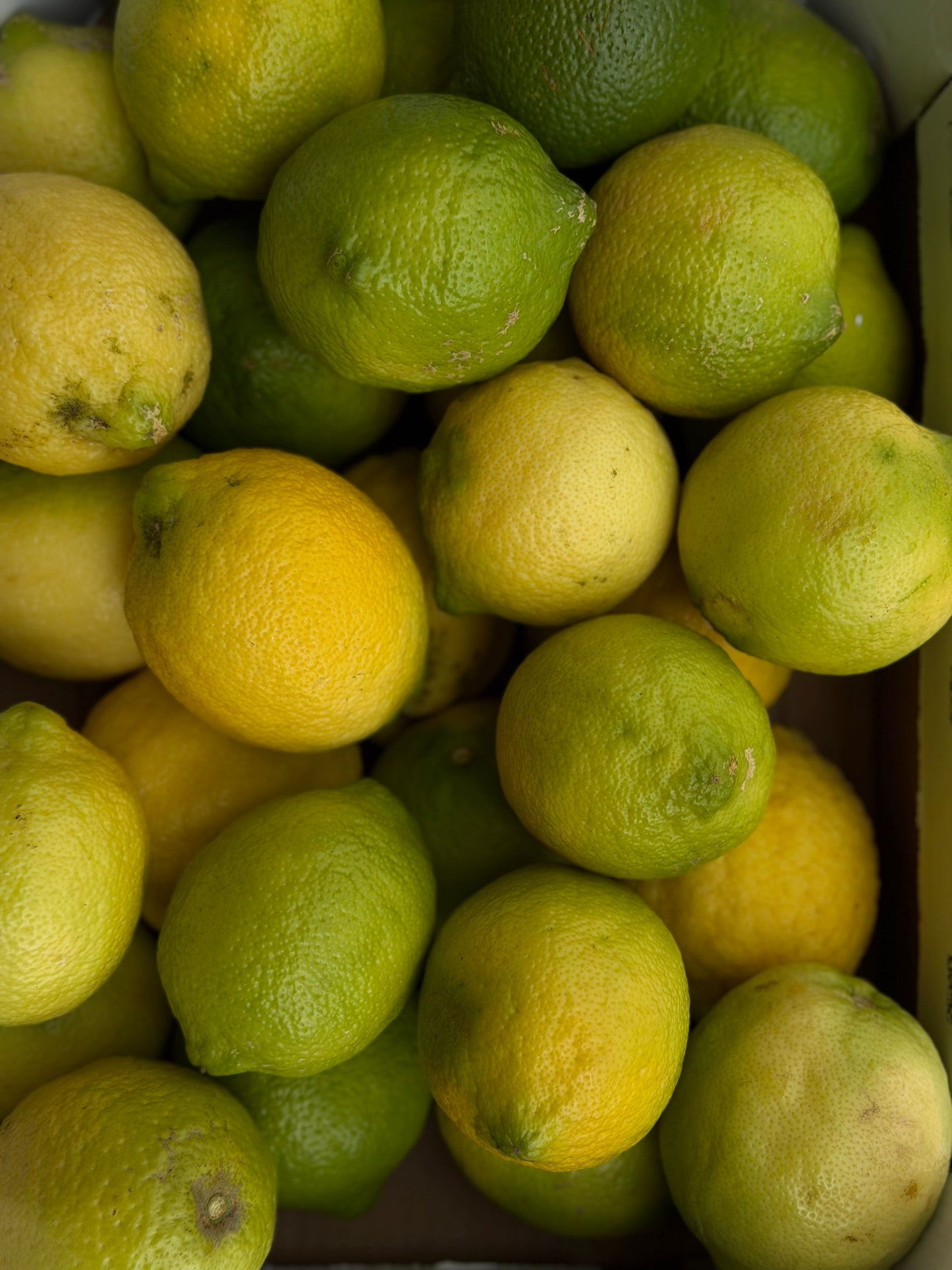 Organic Bianchetto Lemons
