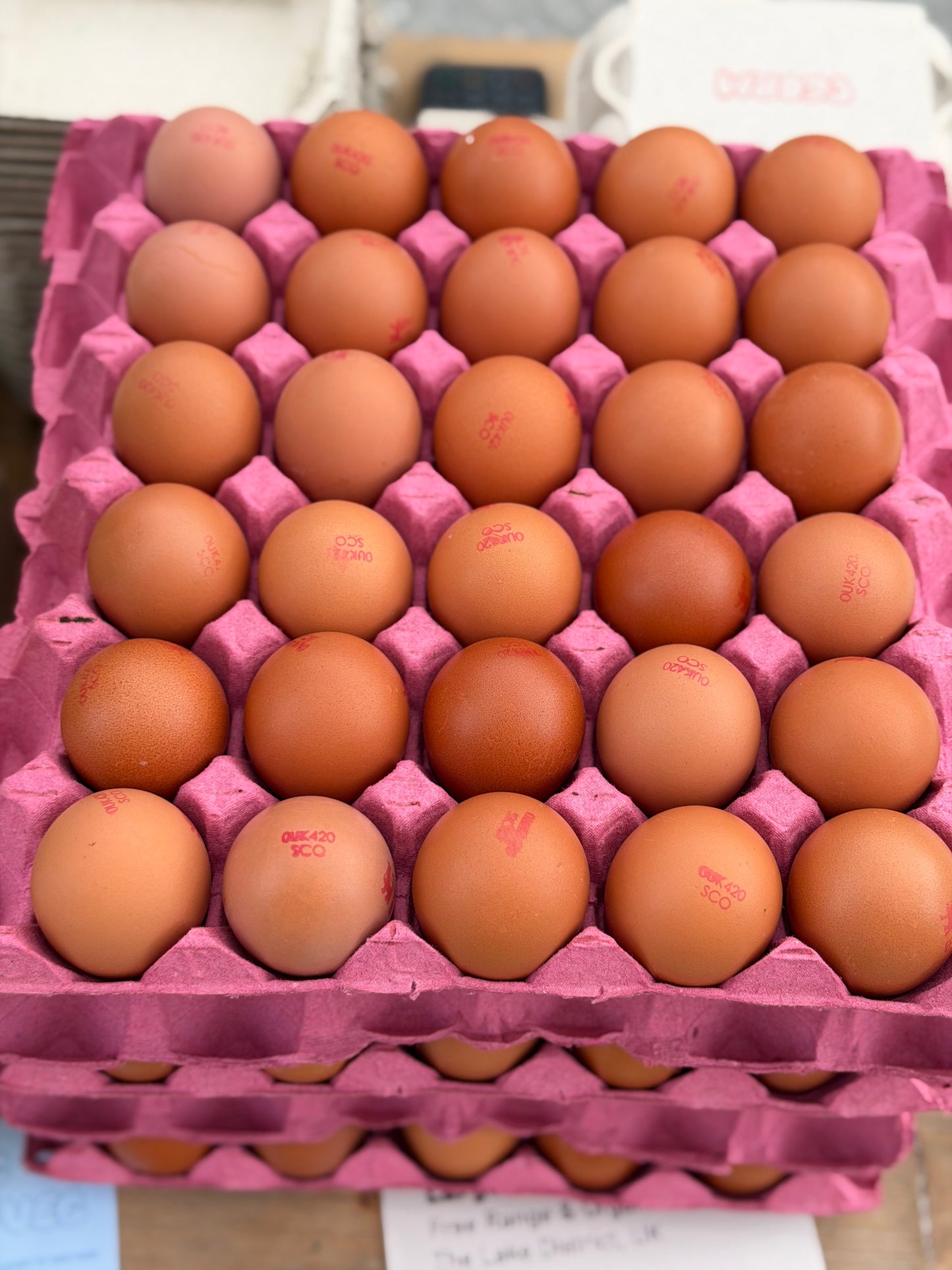 Organic Free Range Eggs x6