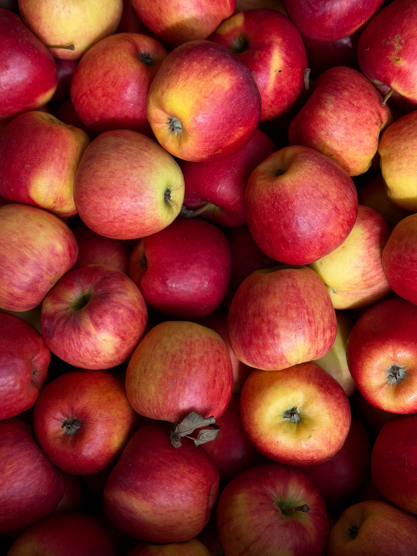 Organic Aria Apples - UK