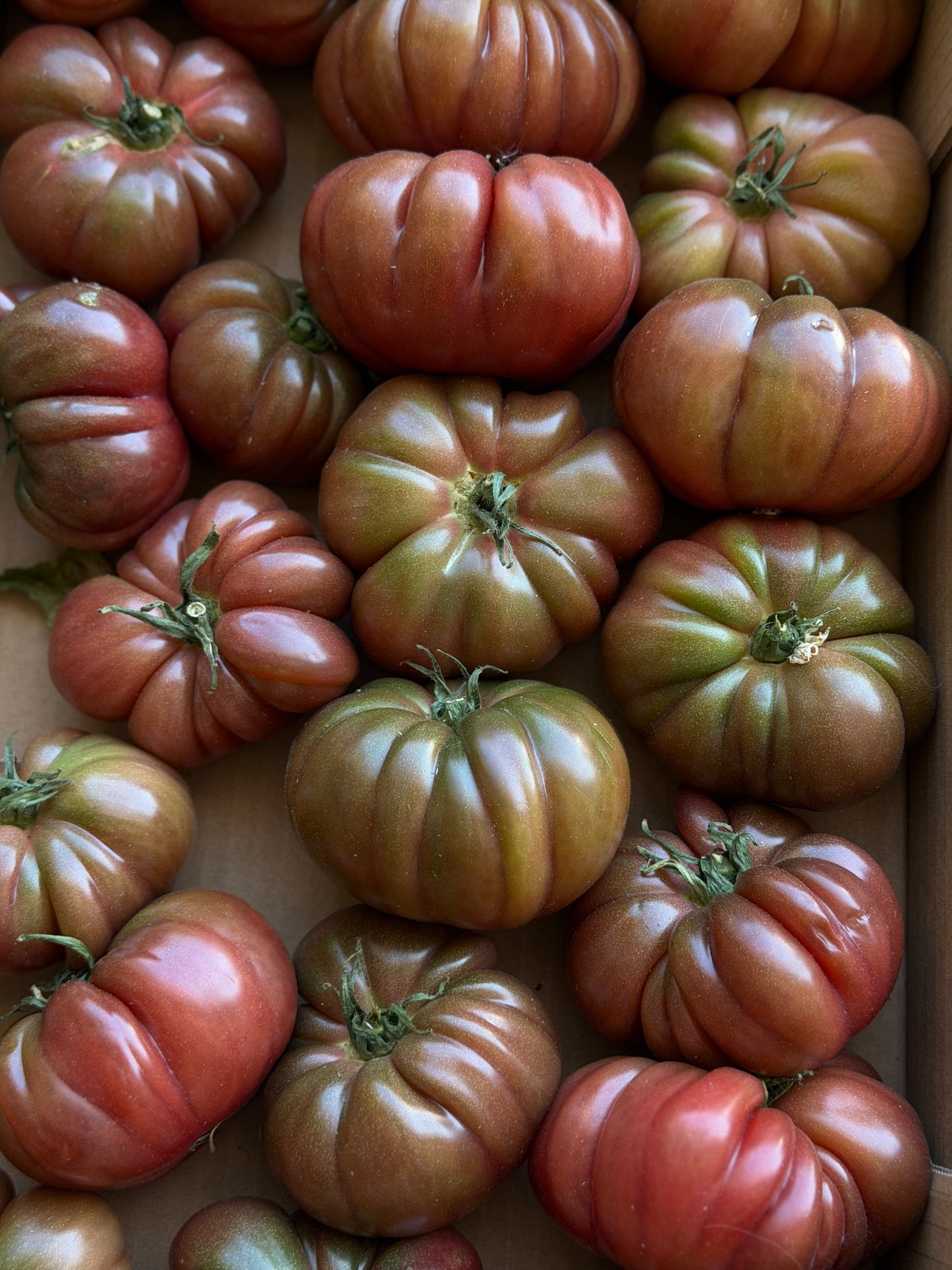 Organic Heirloom Black Krim Tomatoes