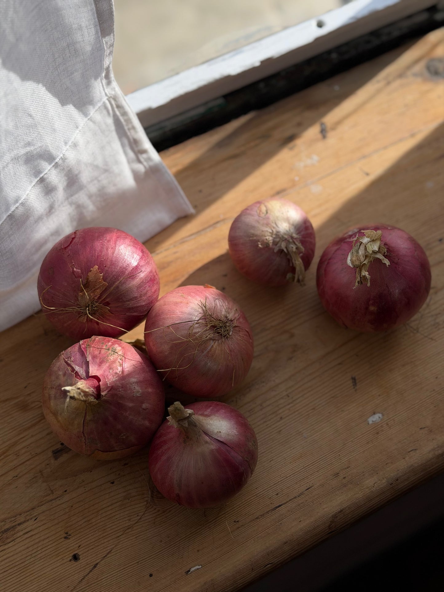 Organic Blushing Queen Onions - UK