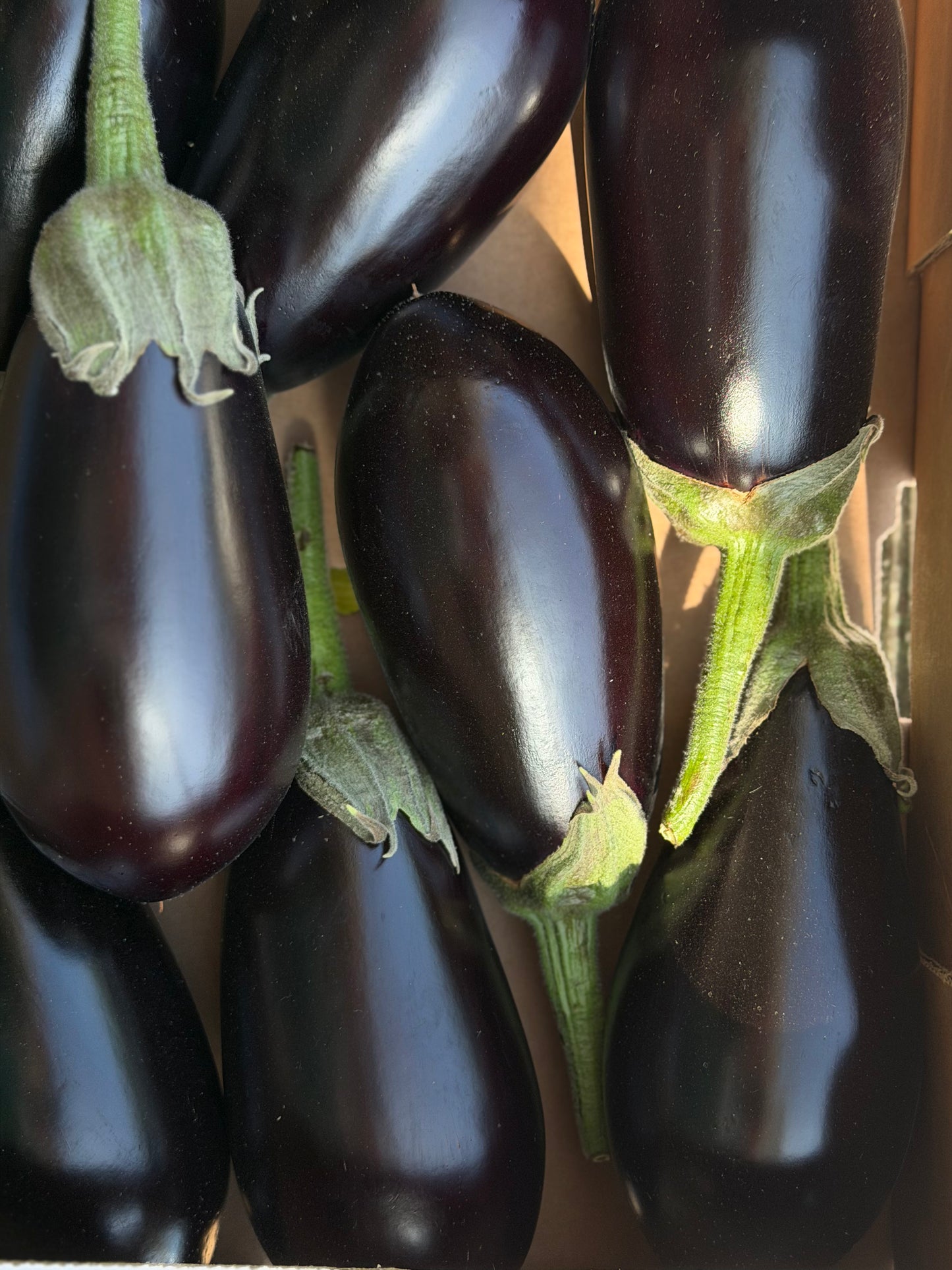 Organic Aubergine - UK