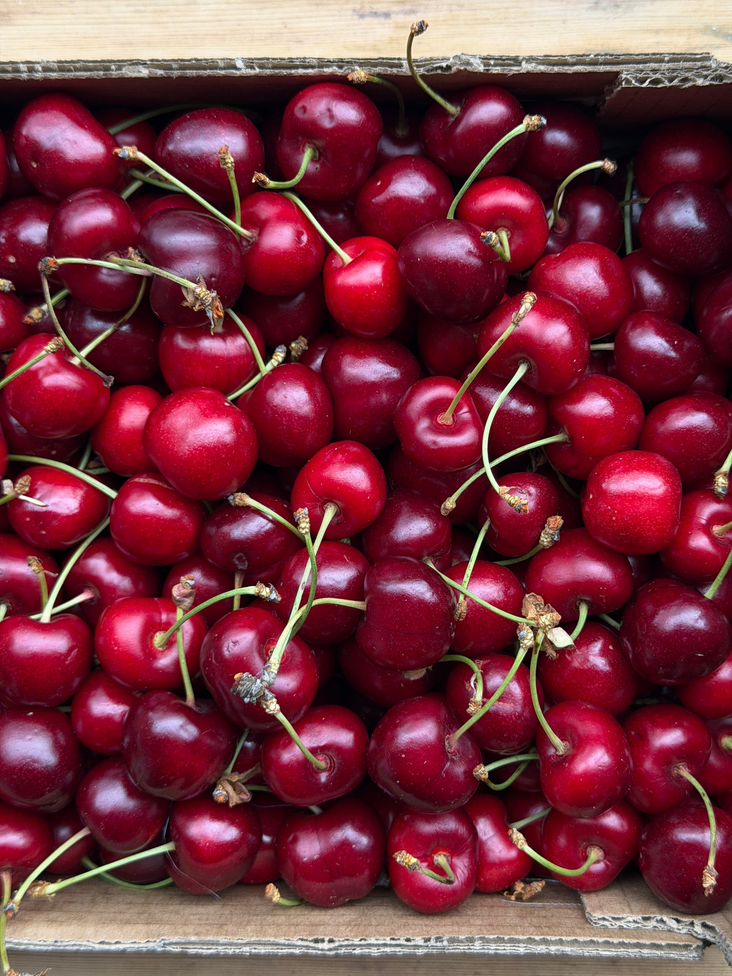Organic Cherries