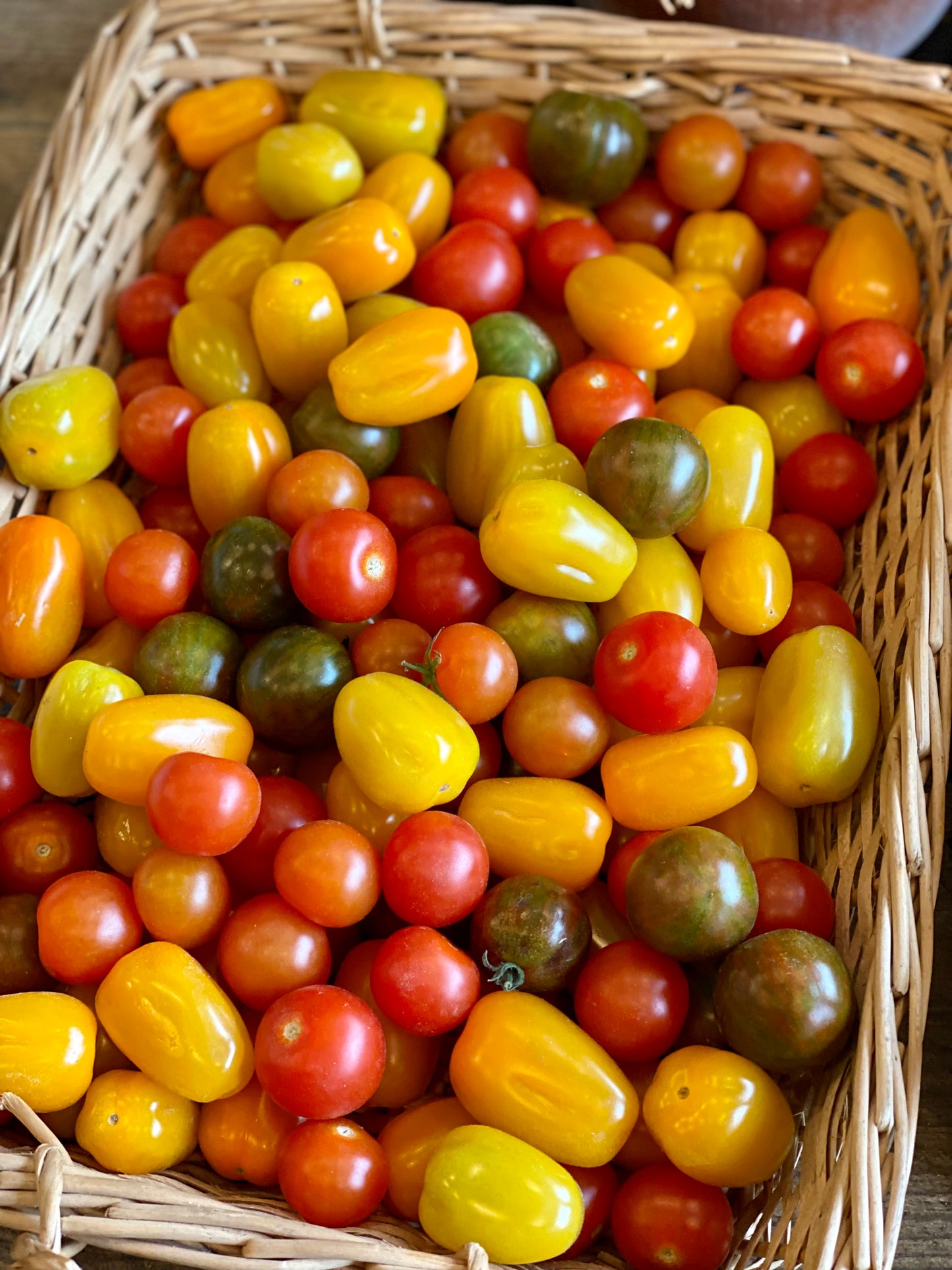 Organic Honeydrop Mixed Cherry Tomatoes