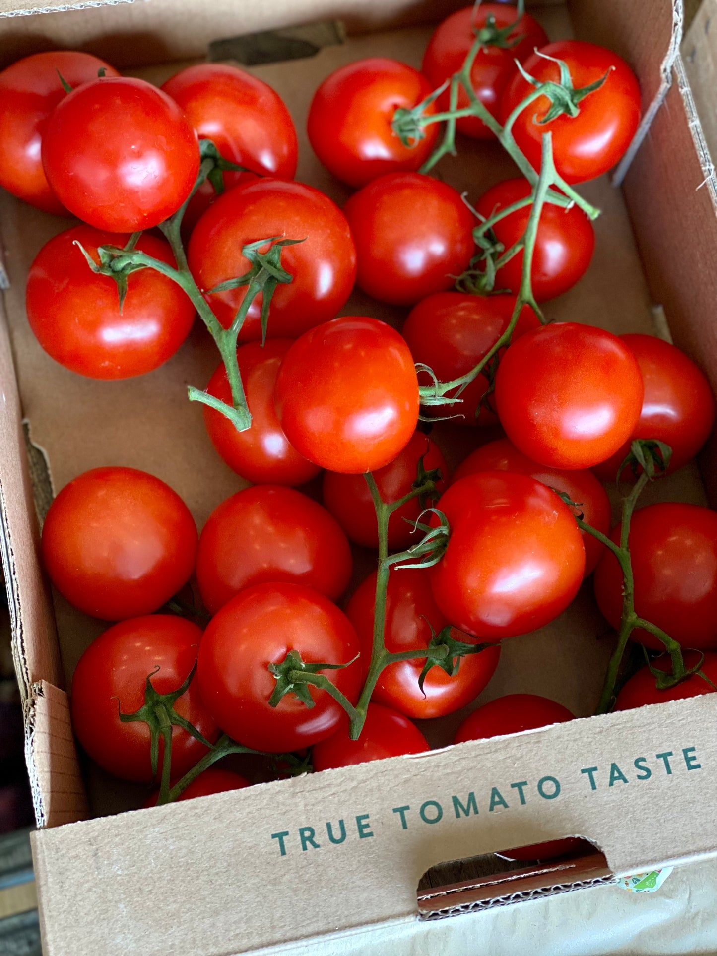 Organic IoW Classic Vine Tomatoes - UK