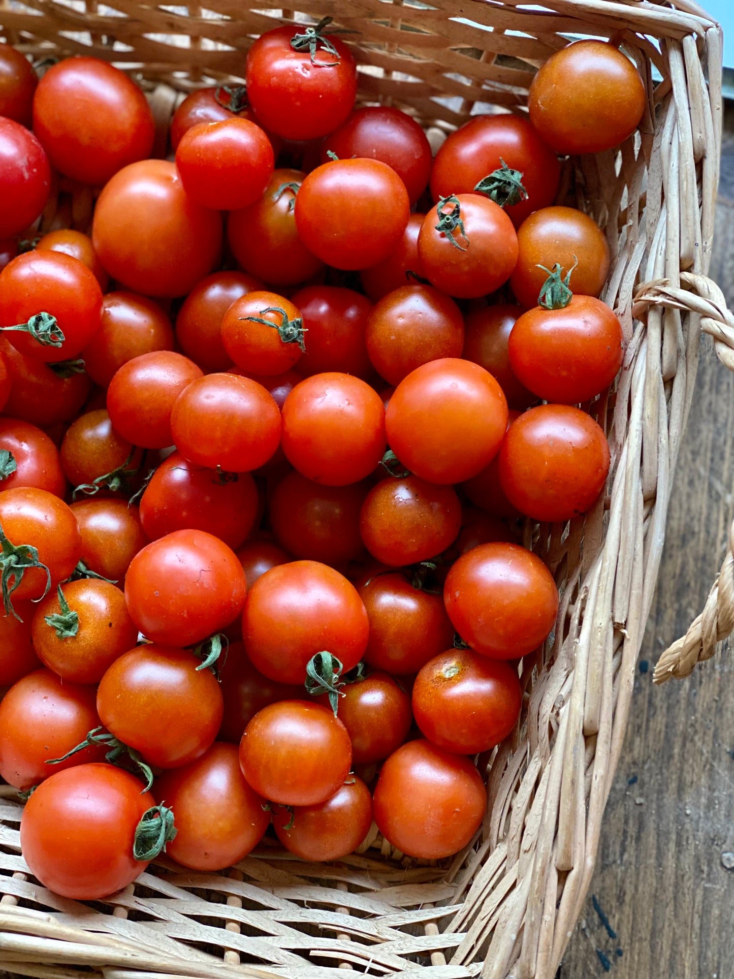 Organic Sakura Cherry Tomatoes - UK