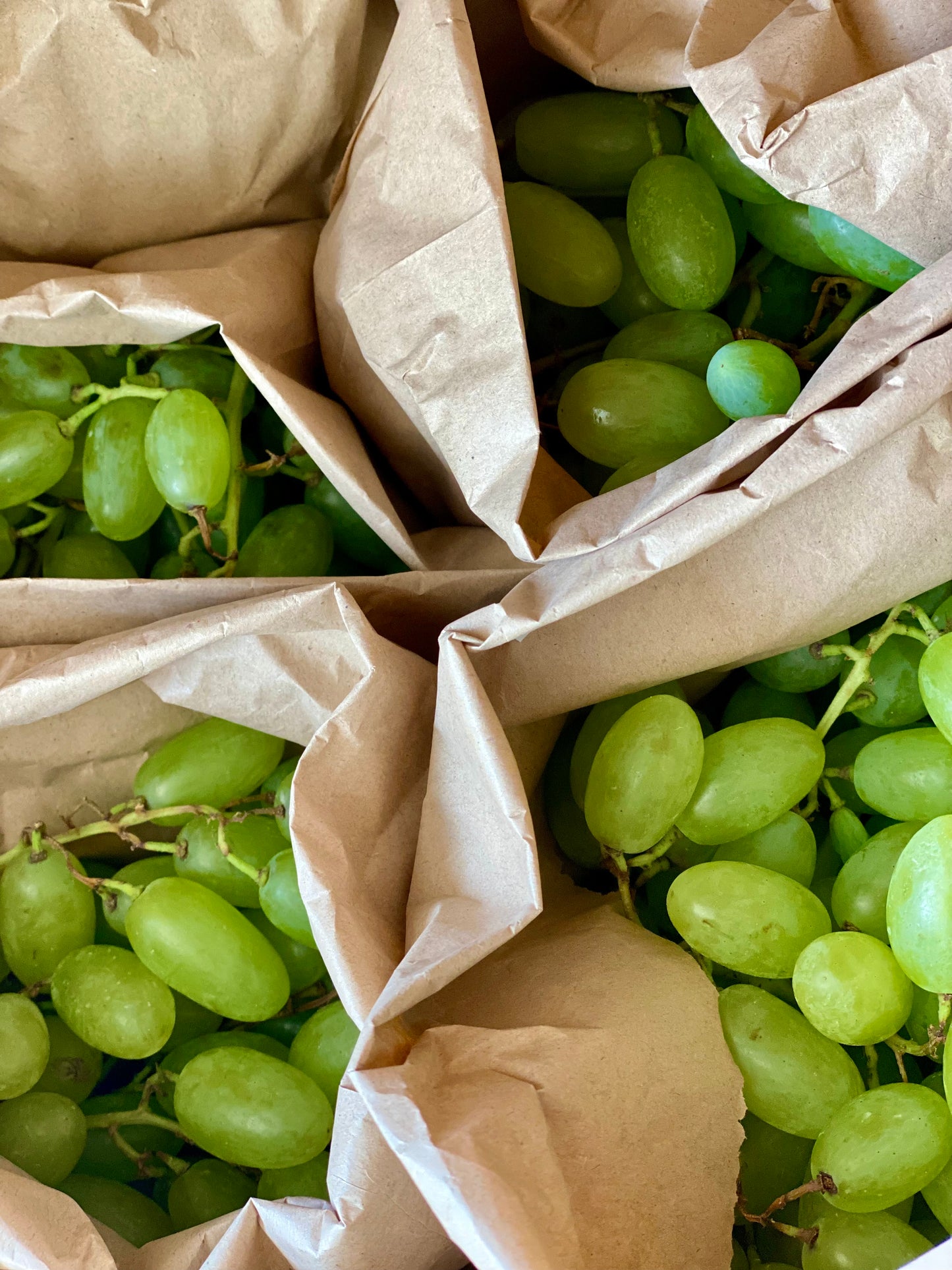 Organic White Seedless Grapes