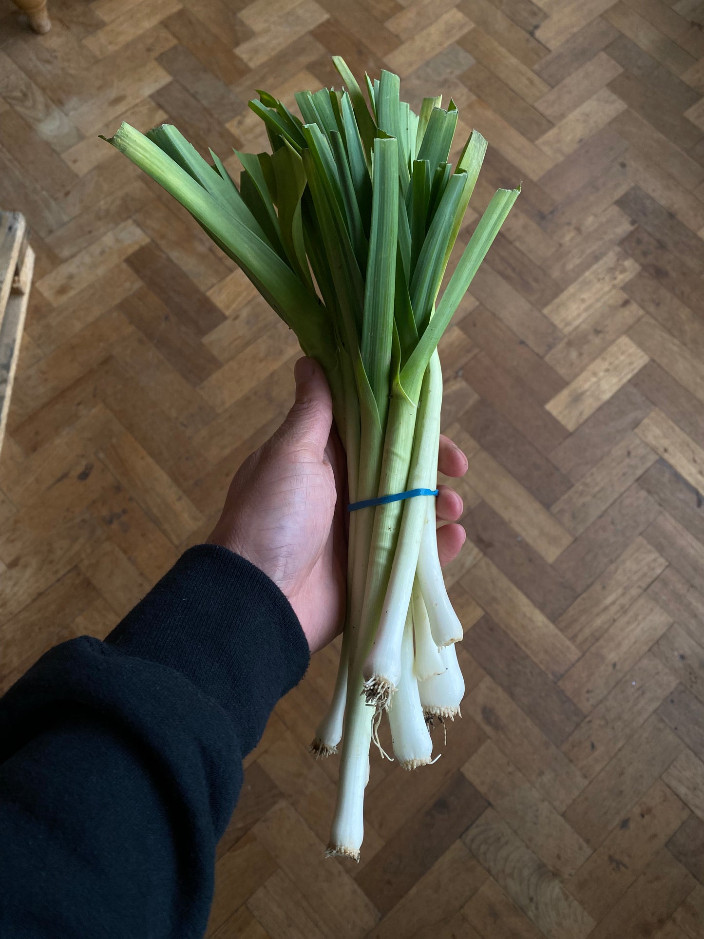 Organic Baby Leeks - UK