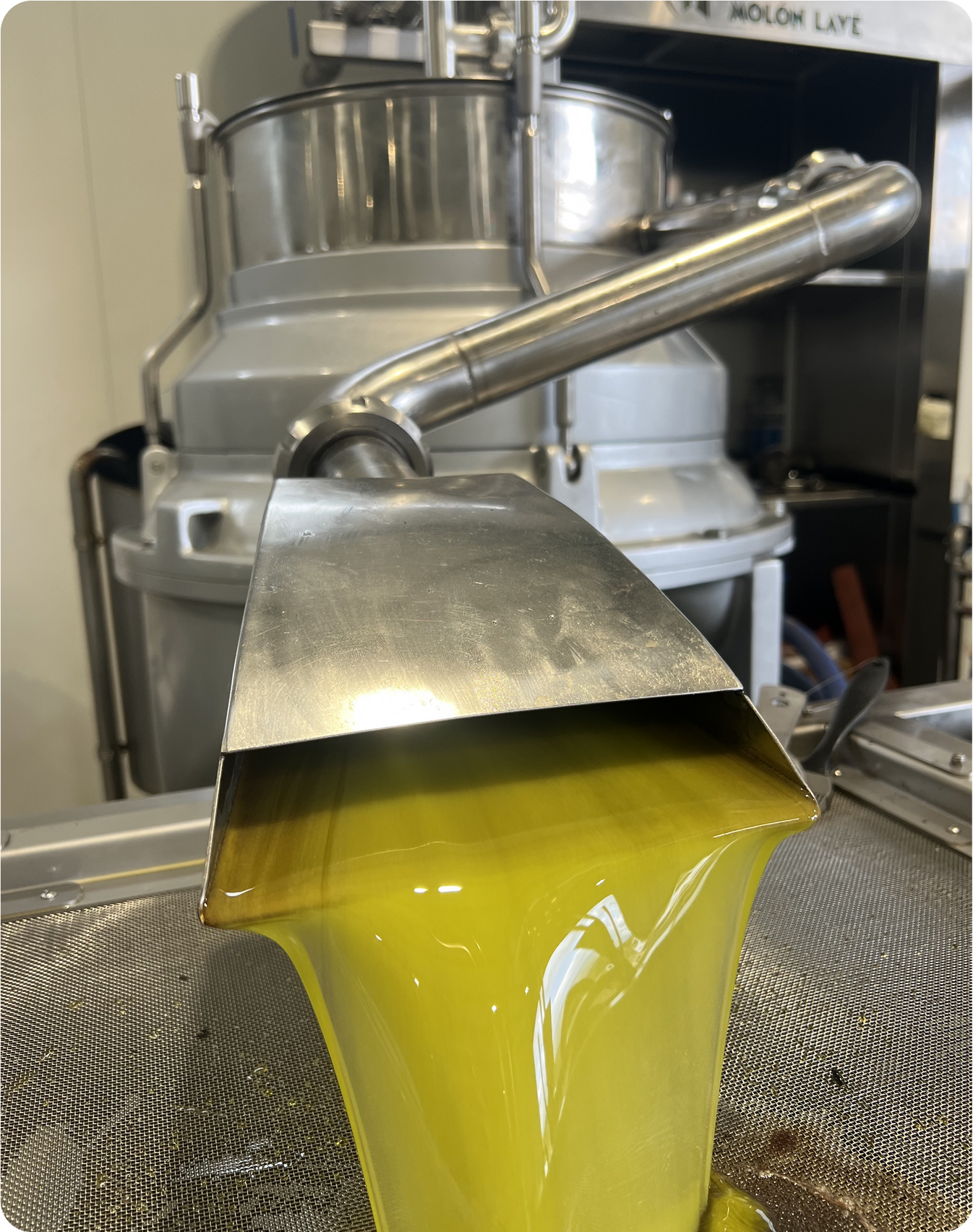 Single Origin Extra Virgin Olive Oil 500ml