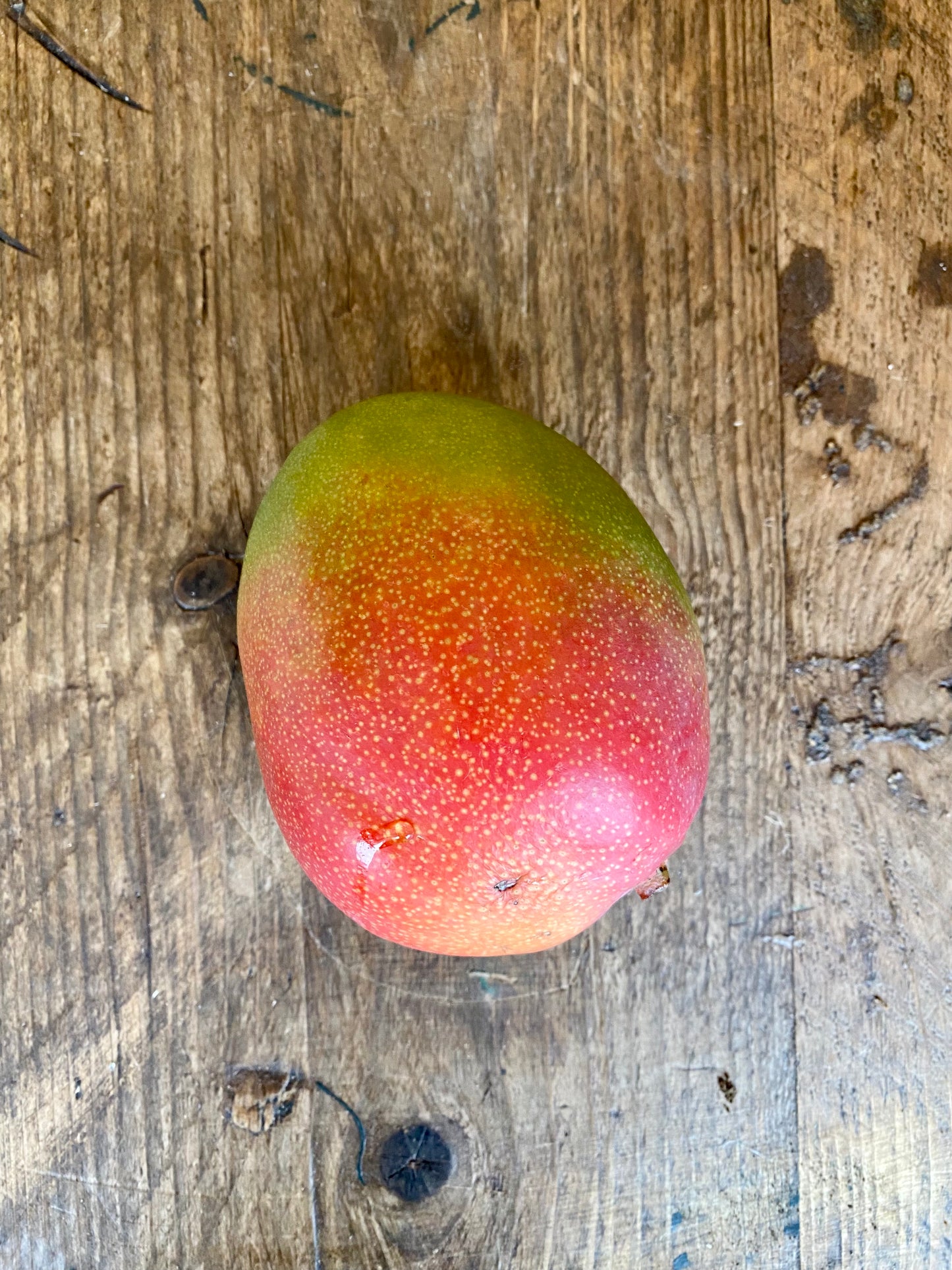 Organic Keitt Mangoes