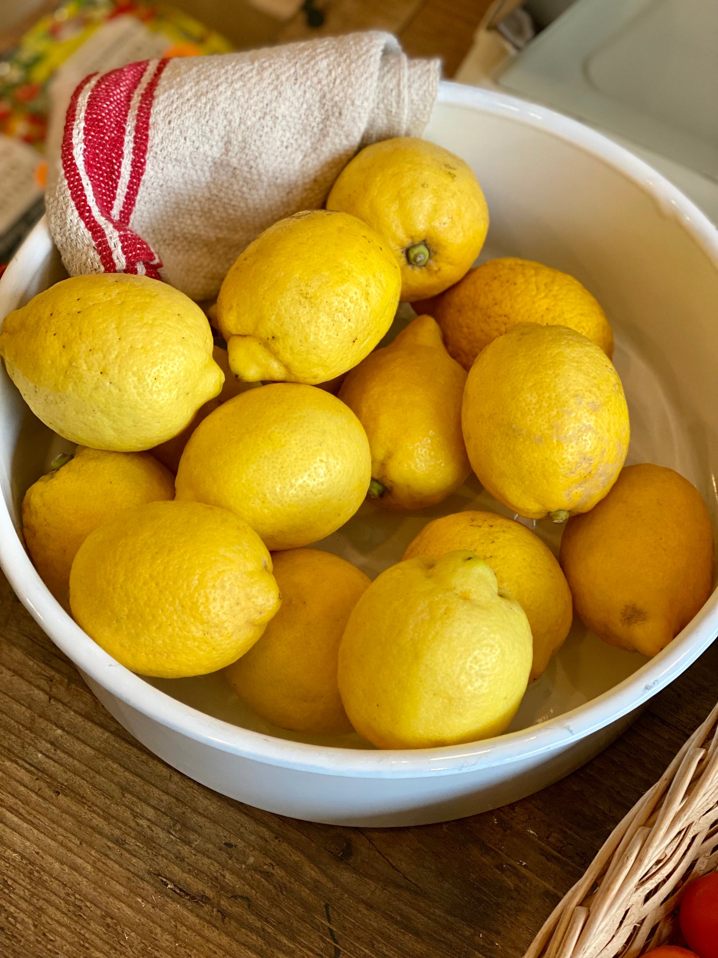 Organic Verna Lemons