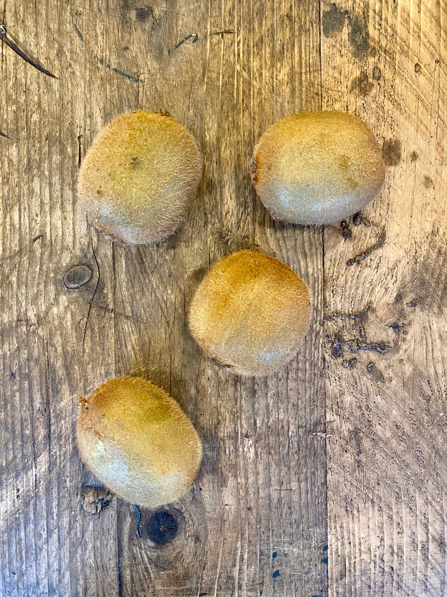 Organic Green Hayward Kiwis