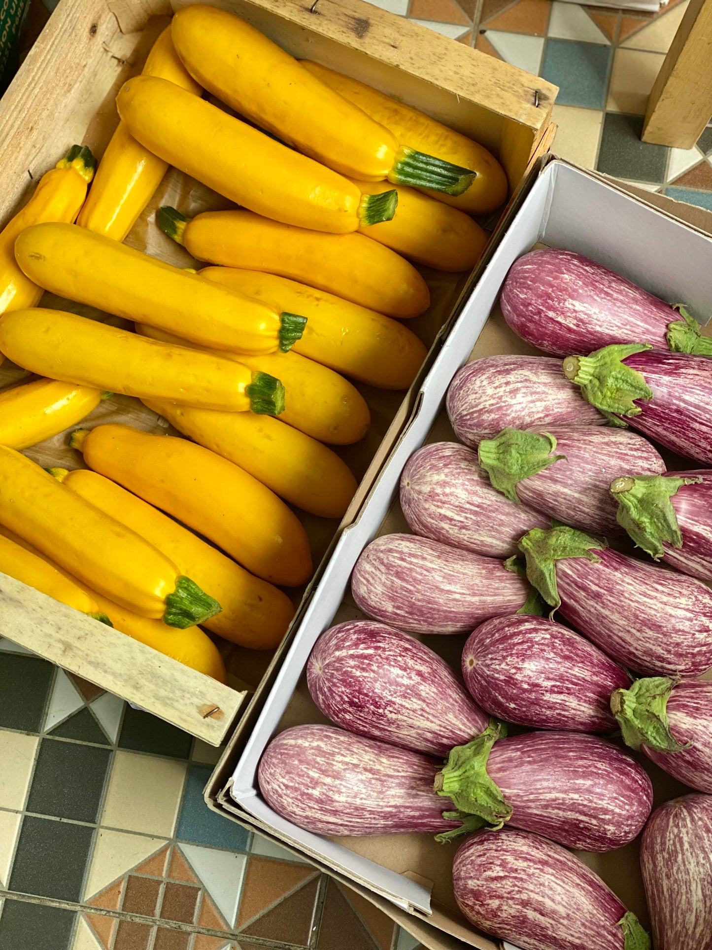 Organic Yellow Courgette - UK