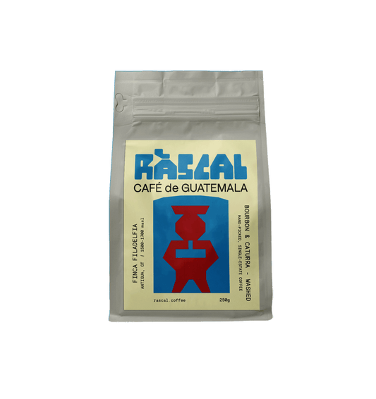 Finca Filadelfia - Bourbon & Caturra - Washed Guatemalan Coffee
