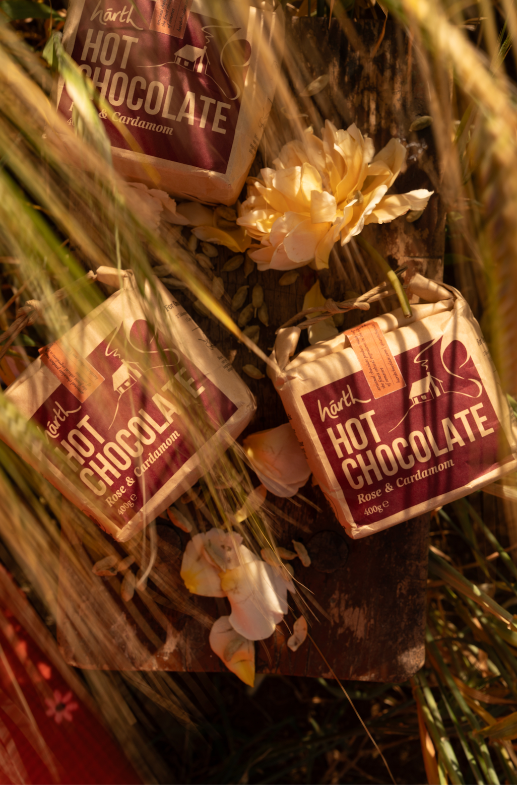 Hot Chocolate Rose and Cardamom