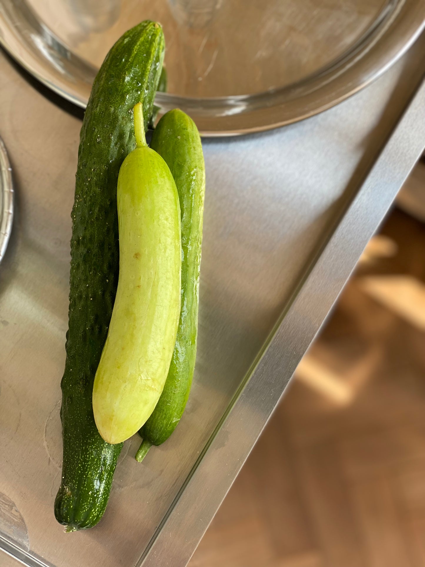 Organic Heirloom Cucumber - UK