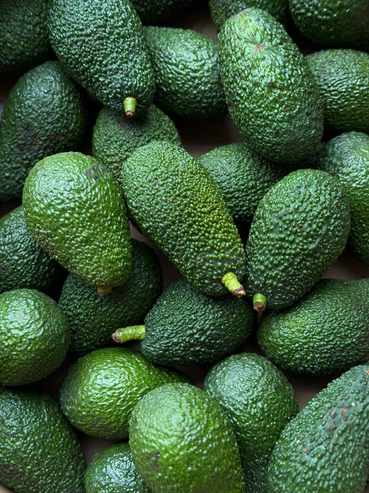 Organic Hass Avocados