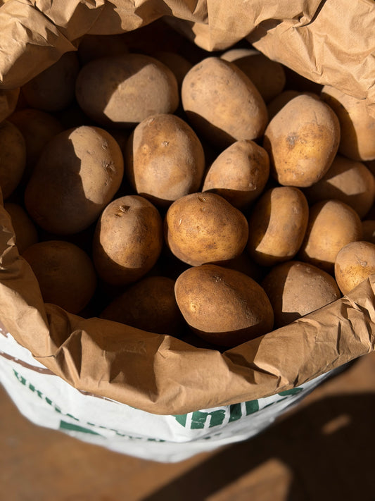 Organic Orla New Season Potatoes - UK