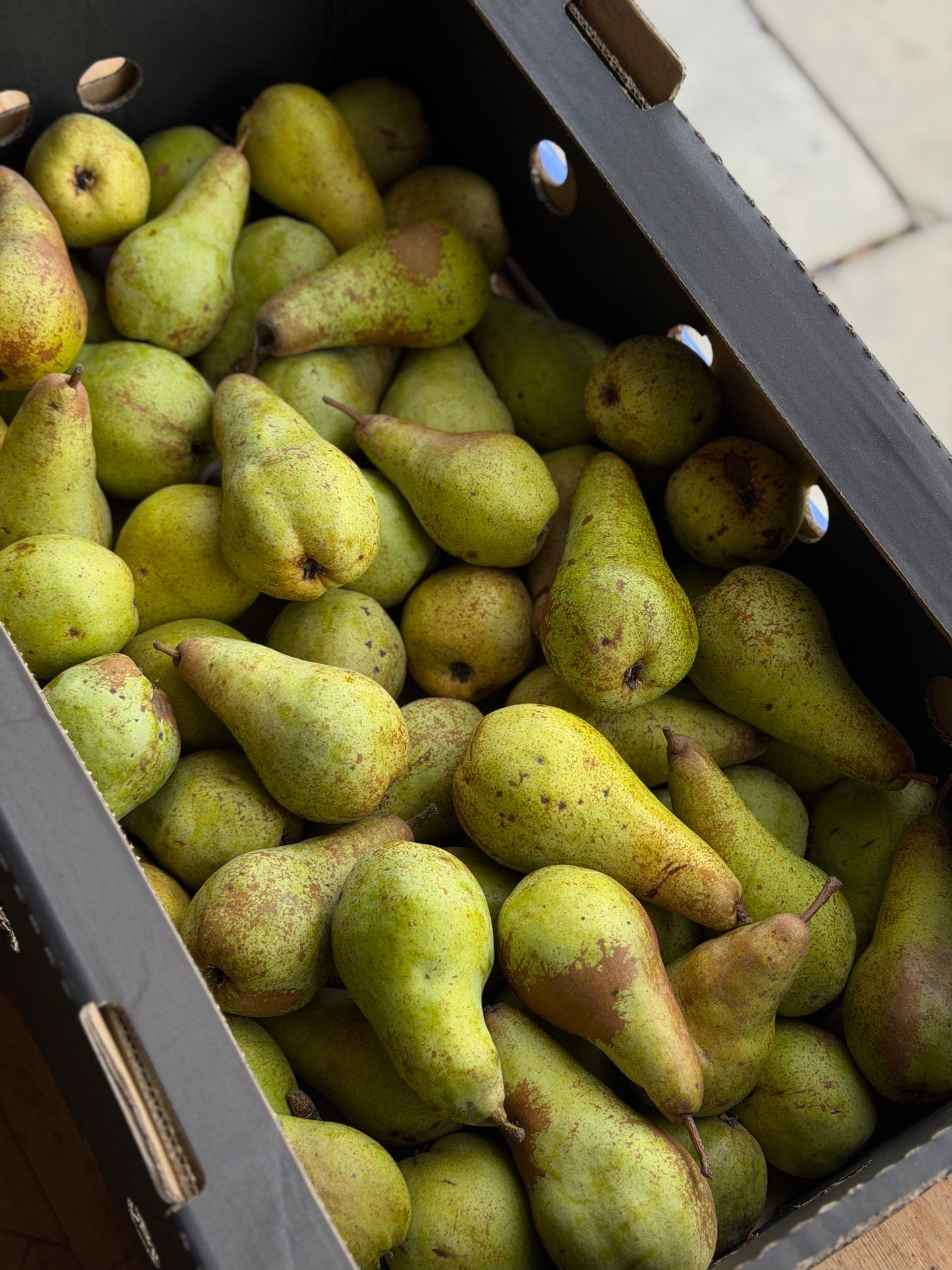 Organic Concorde Pears - UK