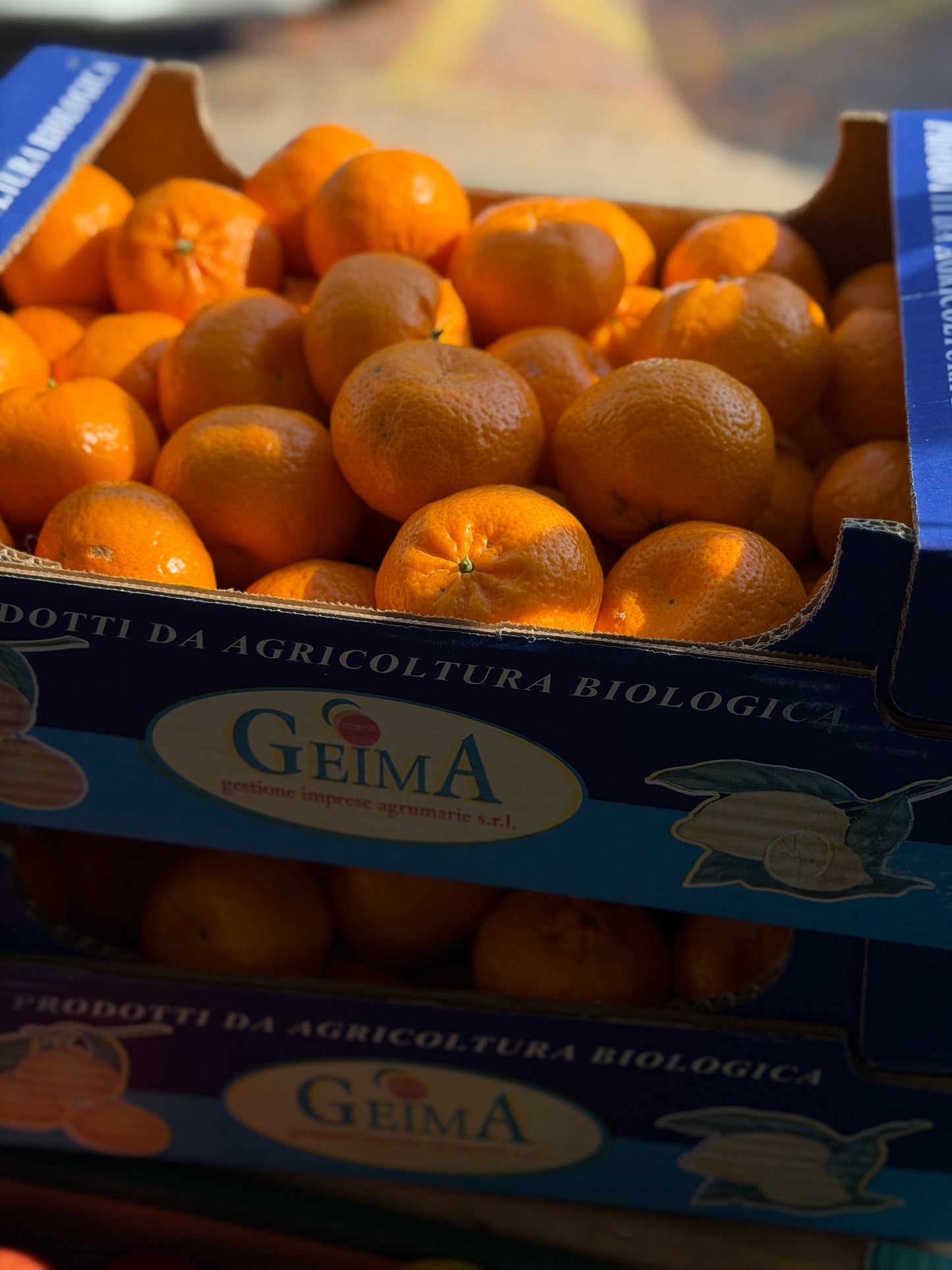 Organic Satsumas