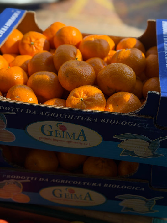Organic Satsumas