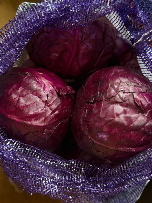 Organic Red Cabbage - UK