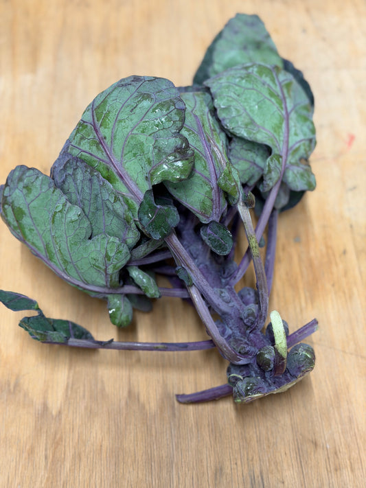 Organic Red Brussels Sprout Tops - UK
