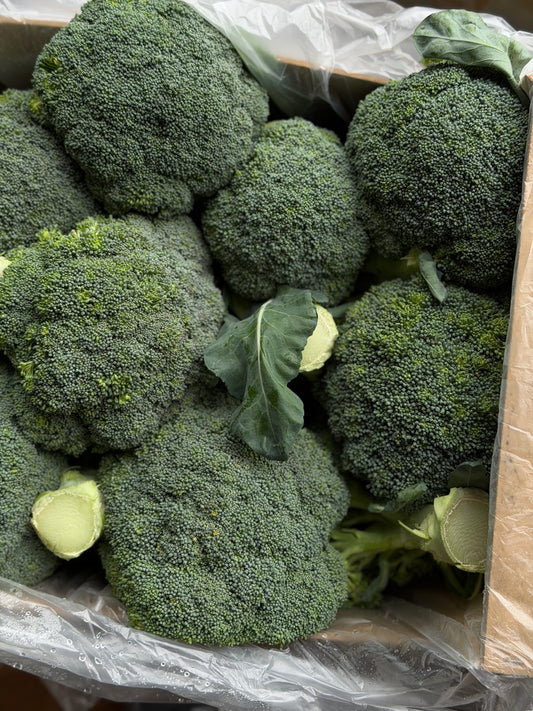 Organic Broccoli - UK