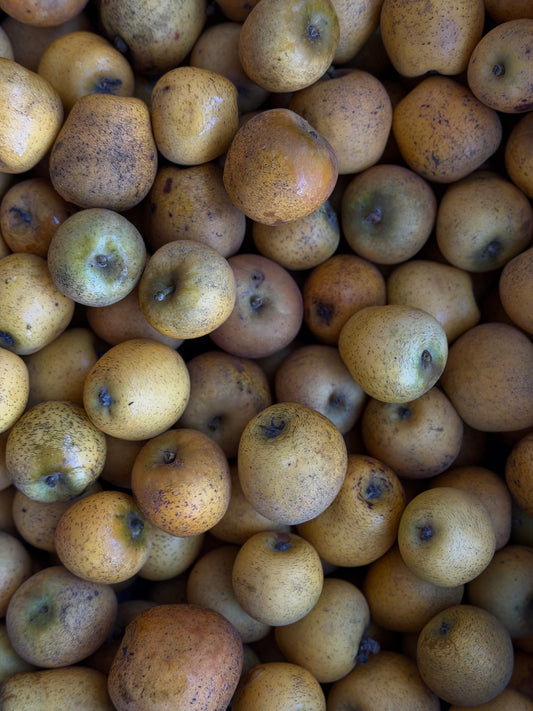 Organic Pitmaston Pineapple Apples - UK