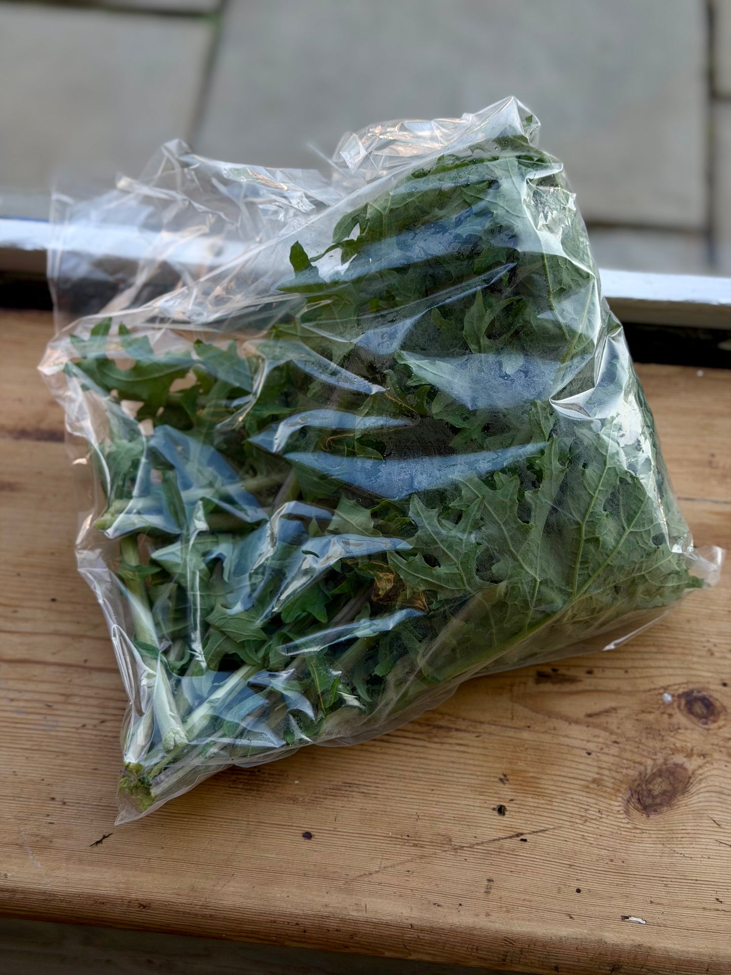 Organic Mixed Kale - UK