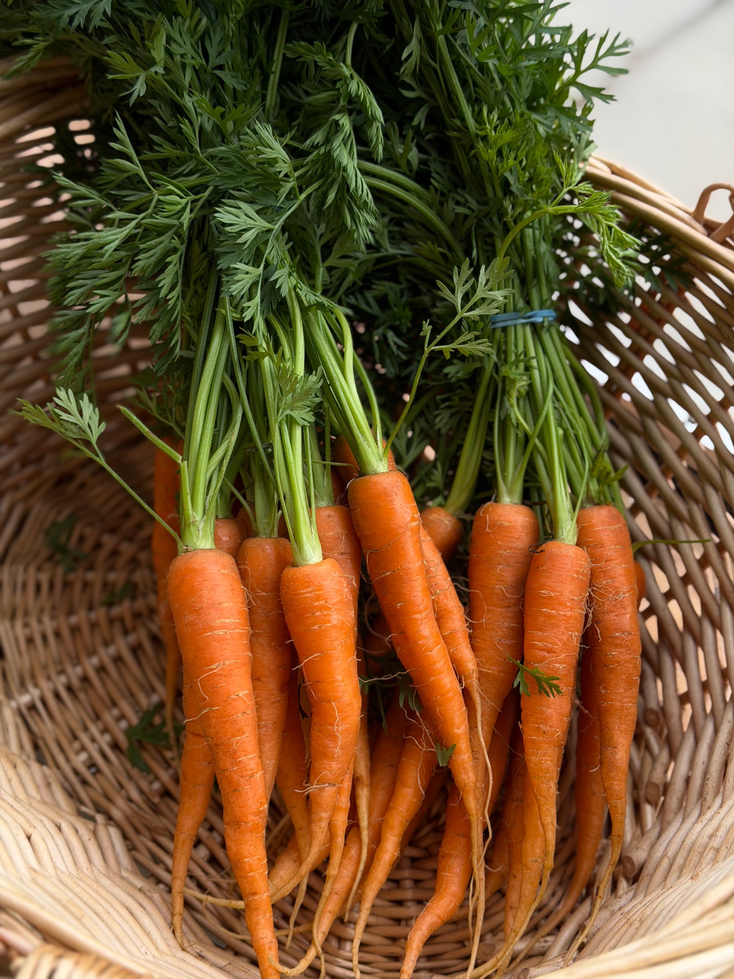 Organic Carrots Bunch - UK