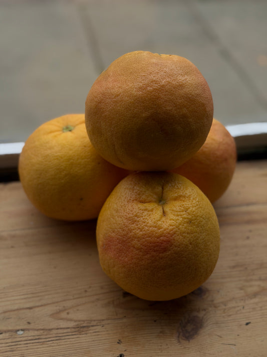 Organic Large Ruby Star Grapefruits