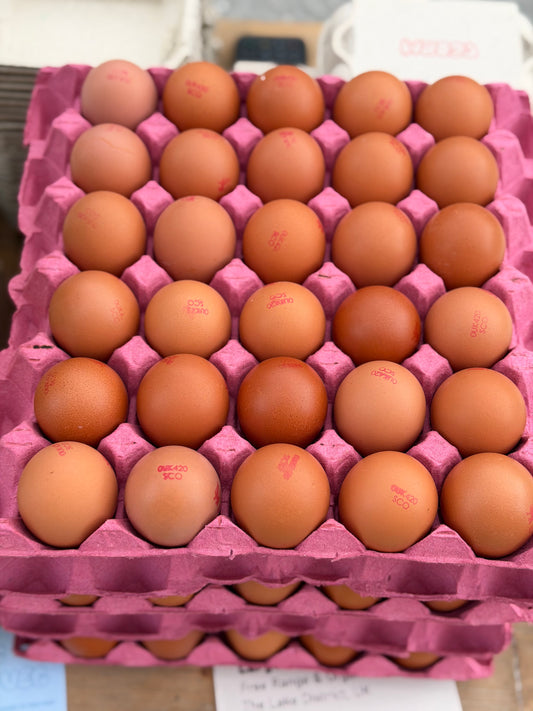 Organic Free Range Eggs x6