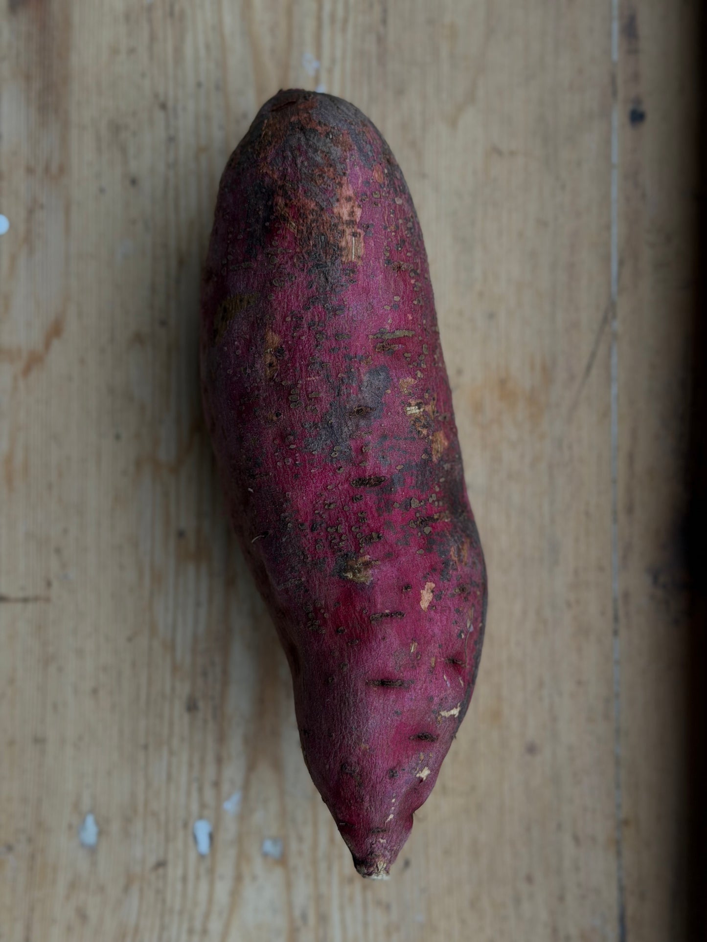 Organic Murasaki Sweet Potatoes
