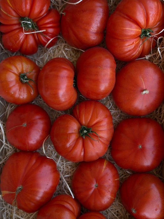 Organic Heirloom Coeur de Boeuf (Ox Heart) Tomatoes
