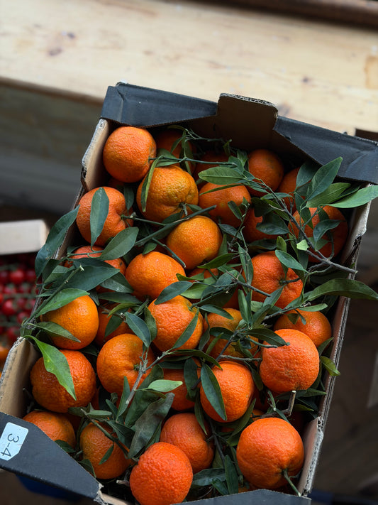 Organic Clementines with Leaf