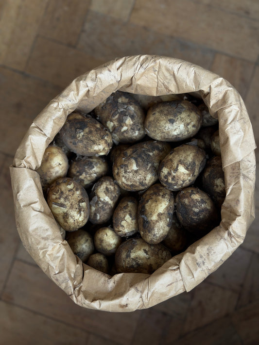 Organic Rocket New Potatoes - UK