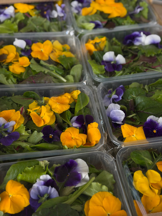 Organic Baby Leaf Salad with Edible Flowers