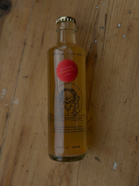 Strawberry Kombucha