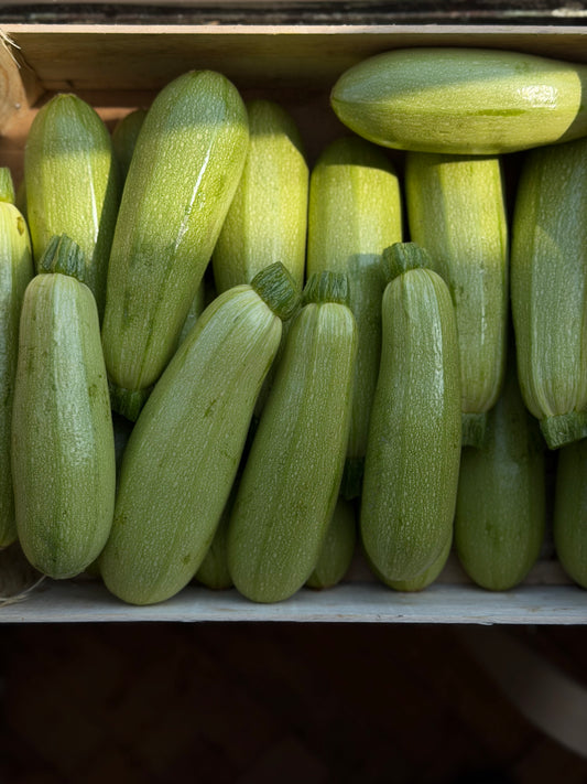 Organic White Courgette