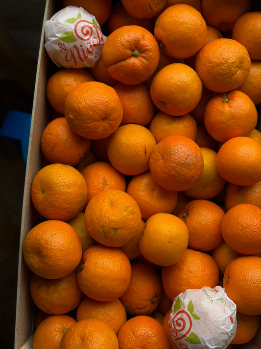 Organic Tarocco Blood Oranges