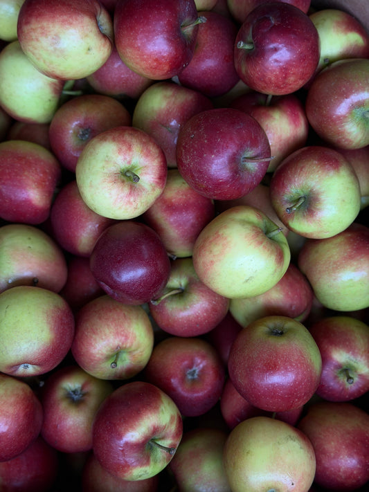 Organic Cabaret Apples - UK