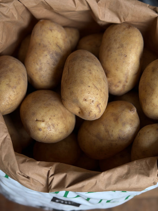 Organic Baking Potatoes - UK