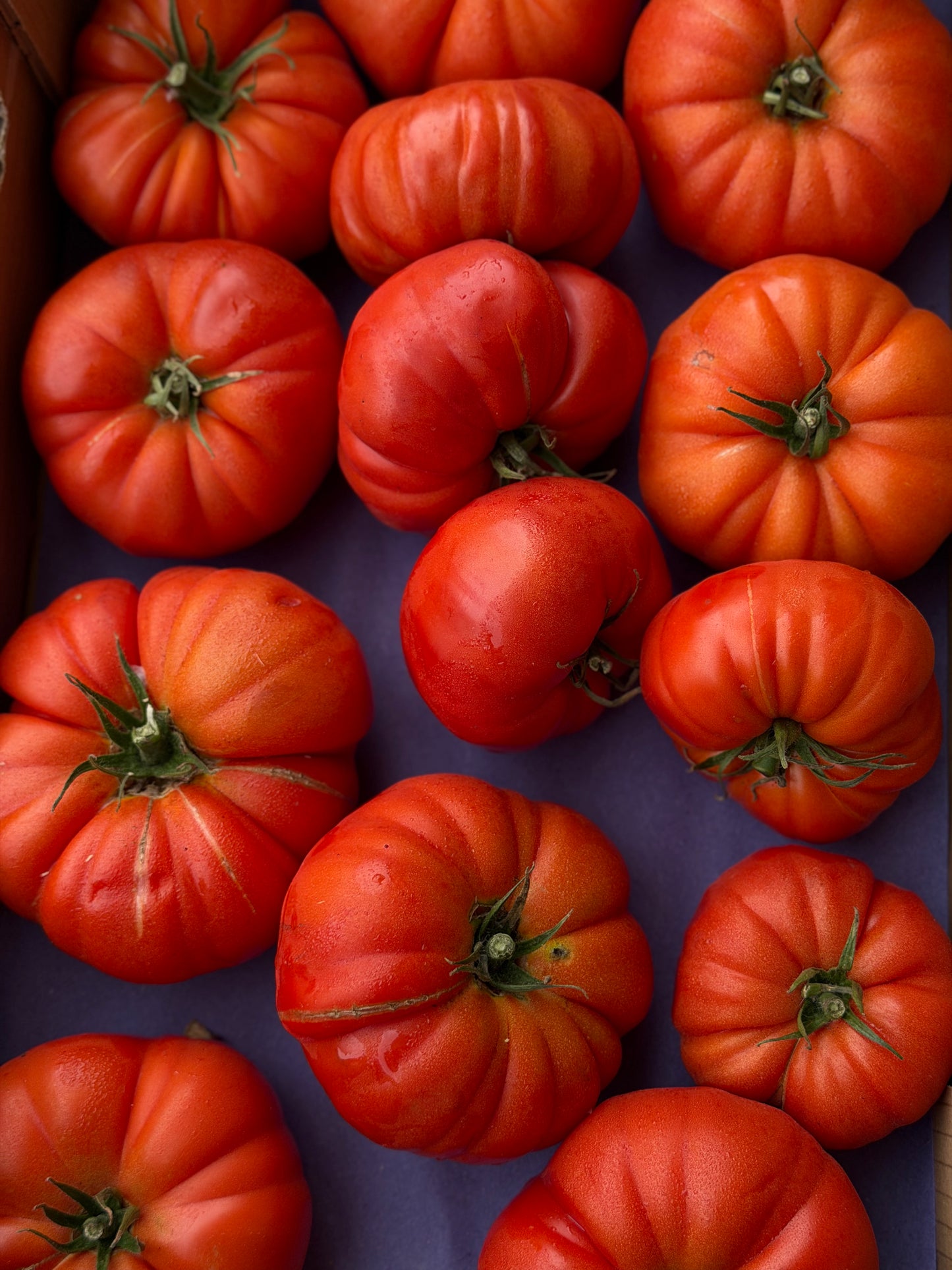 Organic Heirloom Coeur de Boeuf (Ox Heart) Tomatoes
