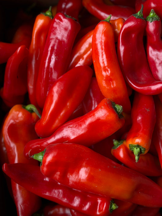Organic Red Palermo Pepper
